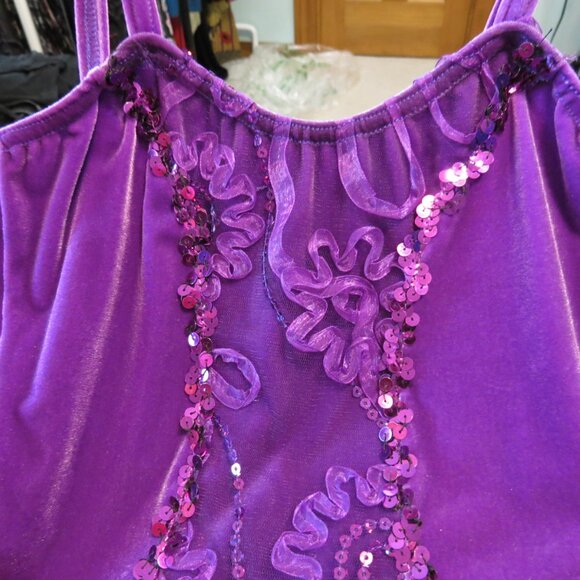 Costume Gallery Purple Ballet Tutu Velvet Sequins Ribbon Flowers Adult Small - Picture 4 of 11